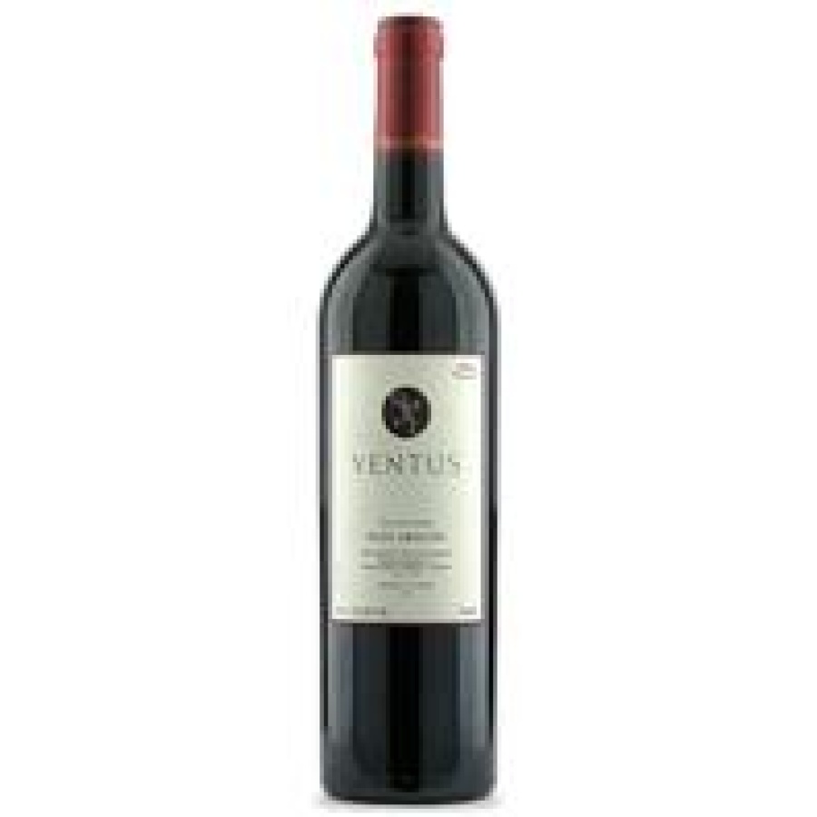 Vino Ventus